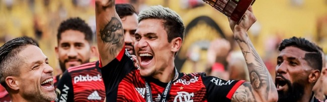  南美解放者杯决出冠军，巴西球队成功捧杯